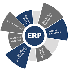 Transforming Businesses With Custom Erp Software Development Services